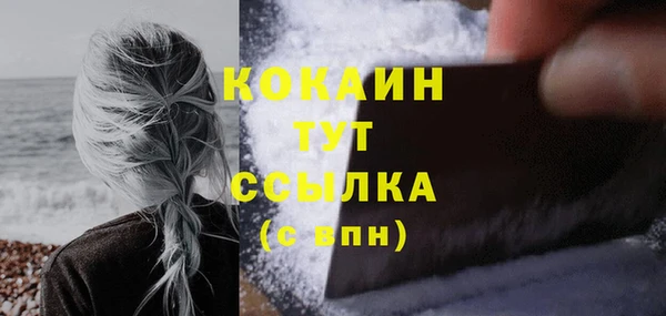 стаф Балахна