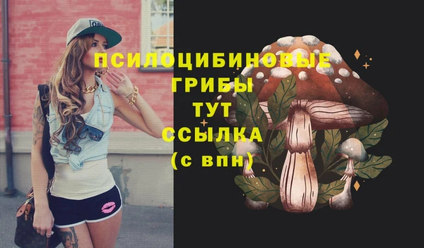 ALPHA PVP Баксан