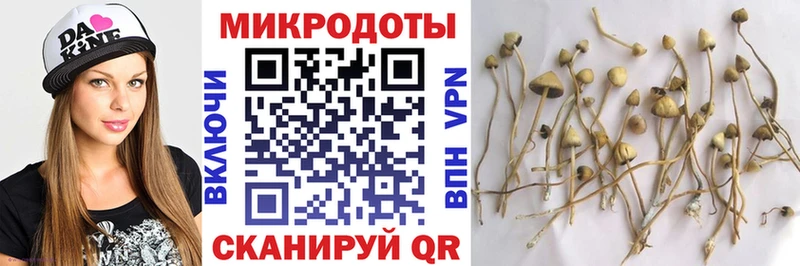 закладка  blacksprut ссылка  Псилоцибиновые грибы MAGIC MUSHROOMS  Лакинск 